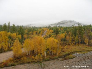 IMG_1421.jpg