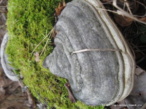 IMG_2190.jpg
