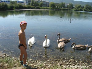 IMG_4675.jpg