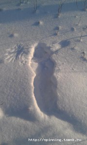 IMAG0676.jpg