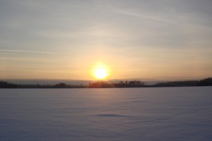 DSC08213.JPG