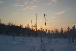 DSC08227.JPG