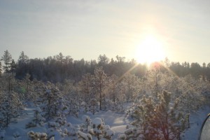 DSC08250.JPG