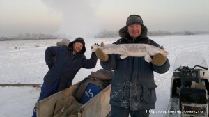 2013-01-06-045.jpg