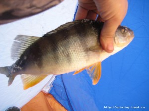 IMG_6214.JPG