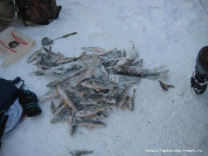 IMG_6219.JPG