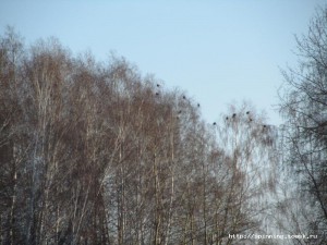 IMG_9308.JPG