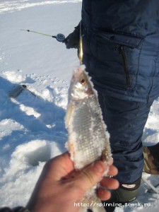 IMG_6260.JPG