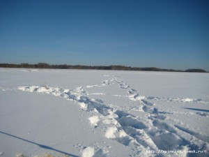 IMG_6265.JPG