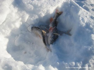 IMG_6266.JPG