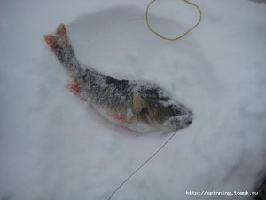 IMG_6280.JPG