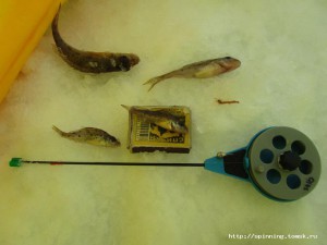 IMG_9357.JPG