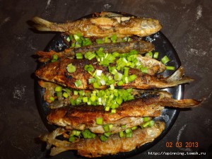 DSC05430.JPG