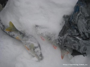 IMG_6346.JPG
