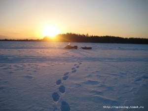 IMG_6353.JPG