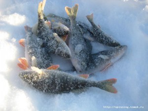 IMG_6356.JPG