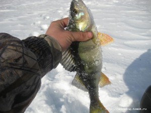 IMG_6360.JPG