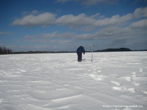 IMG_6361.JPG