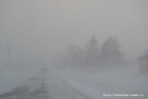 DSC_0305.JPG
