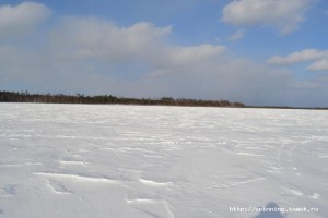 DSC_0327.JPG