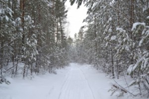 DSC_0358.JPG