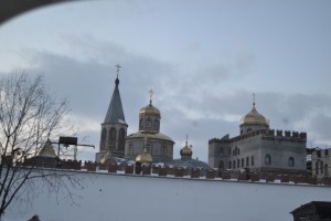 DSC_0391.JPG