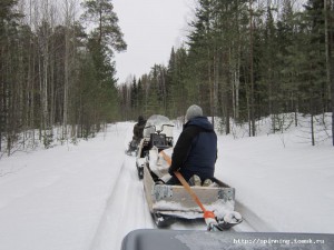 IMG_1310.jpg