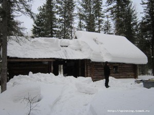 IMG_1303.jpg