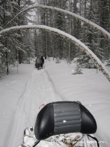 IMG_1319.jpg