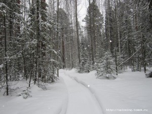 IMG_1320.jpg