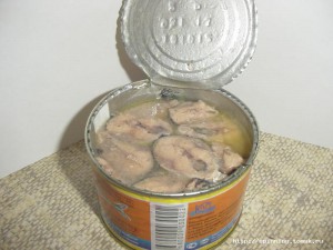 DSC00016.JPG