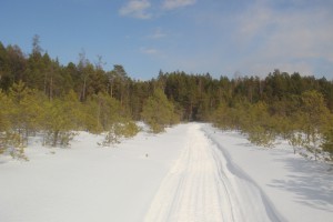 DSC08426.JPG