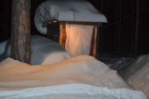 DSC_0320.JPG
