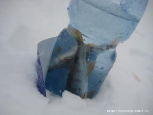 IMG_6474.JPG
