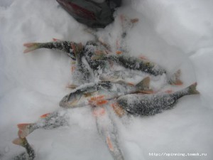 IMG_6475.JPG
