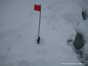 IMG_6485.JPG