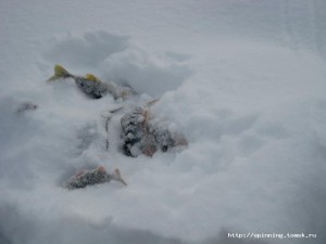 IMG_6493.JPG