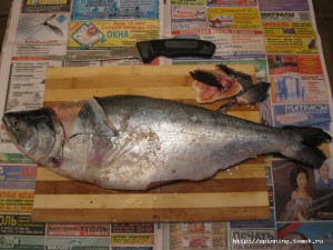 IMG_3853.JPG