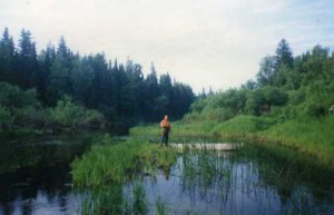 img022.jpg