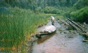 img106.jpg