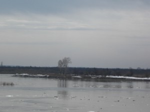 IMG_3448.JPG