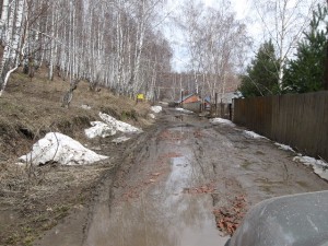 IMG_3452.JPG