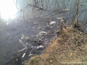 2013-04-28_16-08-18_593.jpg