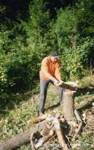 img111.jpg