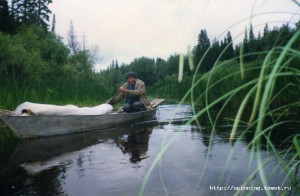 img135.jpg