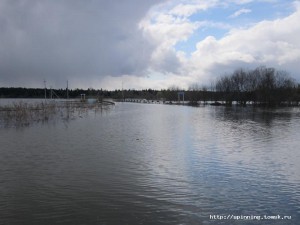 IMG_1388.jpg