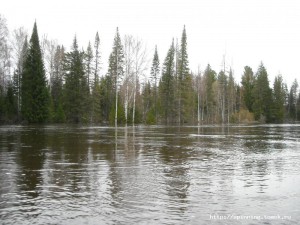 DSCN5202.JPG