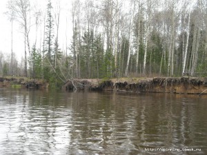 DSCN5257.JPG