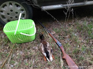IMG_0649.jpg