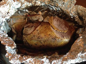 IMG_0668.jpg
